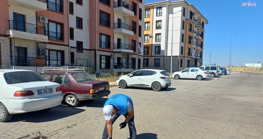 Yaz aylarında artan haşere riskine karşı önleyici çalışmalarını yoğunlaştıran Adıyaman