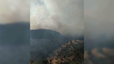 Adıyaman’ın Sincik ilçesine bağlı Alancık Köyü kırsalında, ormanlık alanda akşam