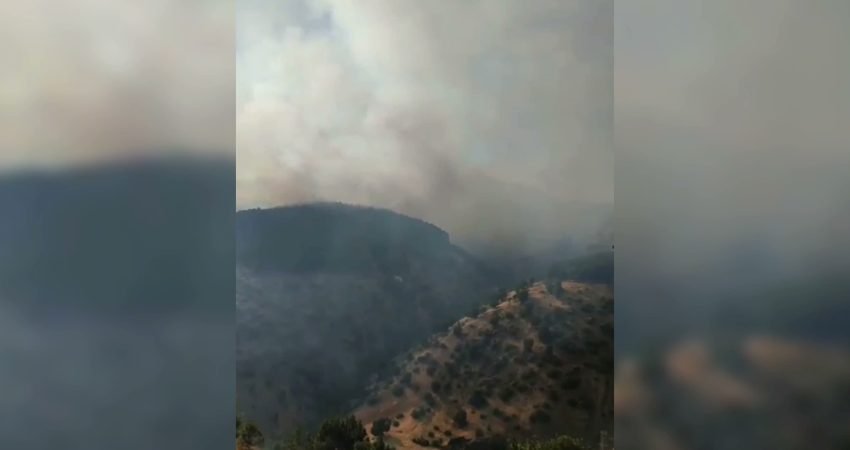 Adıyaman’ın Sincik ilçesine bağlı Alancık Köyü kırsalında, ormanlık alanda akşam