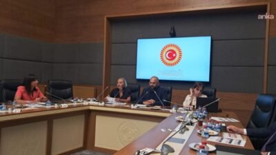 TBMM Şanlıurfa ve Kahramanmaraş'taki Okul Olaylarını ve Dijital Riskleri Araştırma
