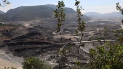 Milas 2. Asliye Hukuk Mahkemesi, Akbelen Ormanı çevresinde kömür madeni
