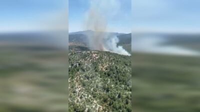 Antalya’nın Akseki ilçesinde Menteşbey ve Sarıhaliller mahalleleri arasındaki ormanlık alanda