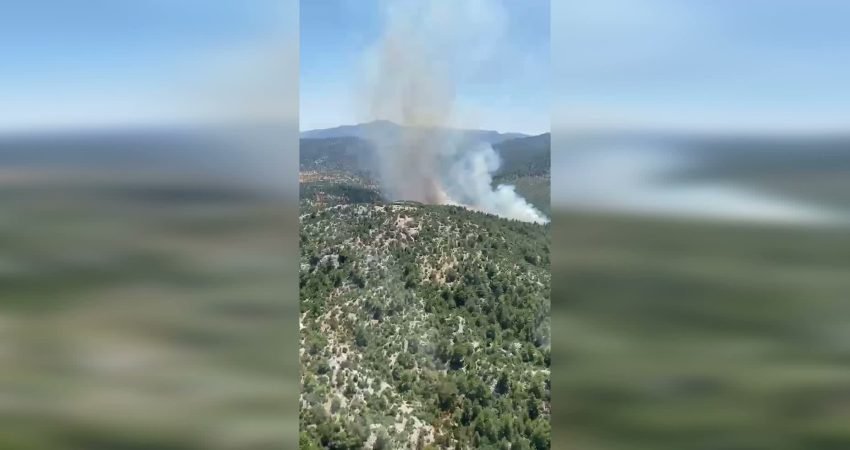 Antalya’nın Akseki ilçesinde Menteşbey ve Sarıhaliller mahalleleri arasındaki ormanlık alanda