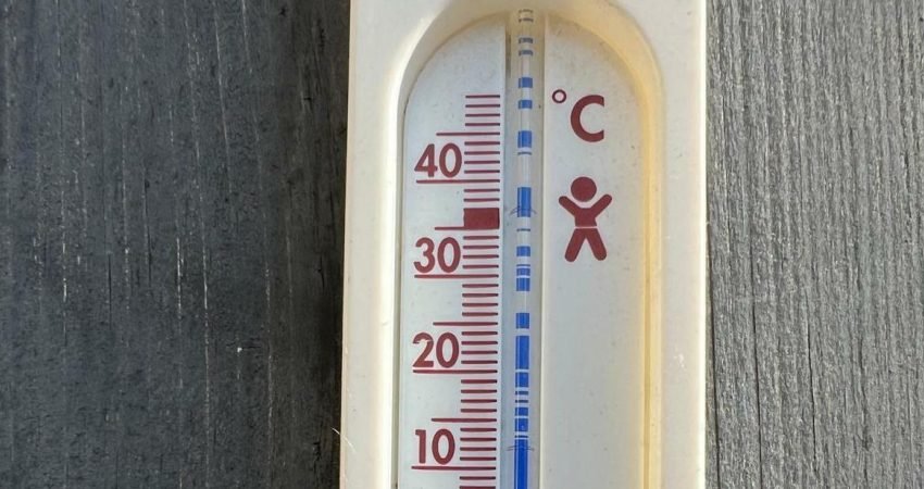 Almanya'nın yıl başından bu yana sıcaklığa bağlı olduğu tahmin edilen ölümlerin