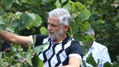 Altınordu Ziraat Odası Başkanı Atakan Akça, iç fındığın kilogramının yaklaşık