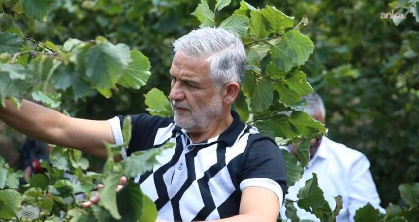 Altınordu Ziraat Odası Başkanı Atakan Akça, iç fındığın kilogramının yaklaşık