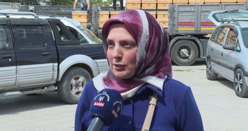 Ankara Büyükşehir Belediyesi, kırsal kalkınmayı desteklemek ve teknik arıcılığı yaygınlaştırmak
