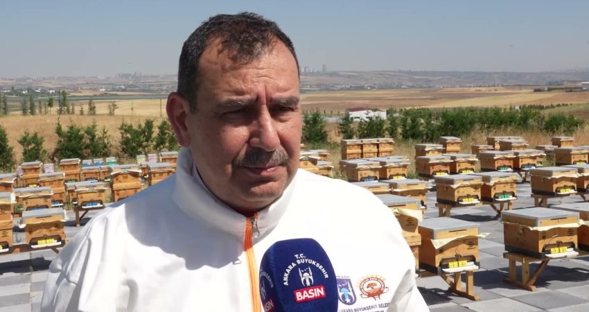 Ankara Büyükşehir Belediyesi tarafından Başkentlilerin hizmetine sunulan ATA Çiftliği’nde (BAKAP)