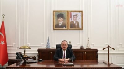 Ankara Valisi Yakup Canbolat, 2024'te tespit edilen 52 bin sahipsiz