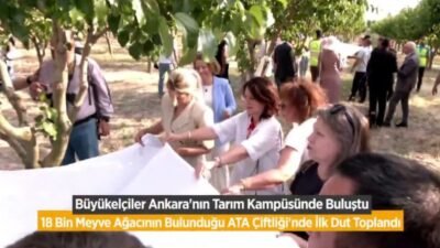 Ankara'da görev yapan büyükelçiler ve temsilcileri, 22 farklı türden 18