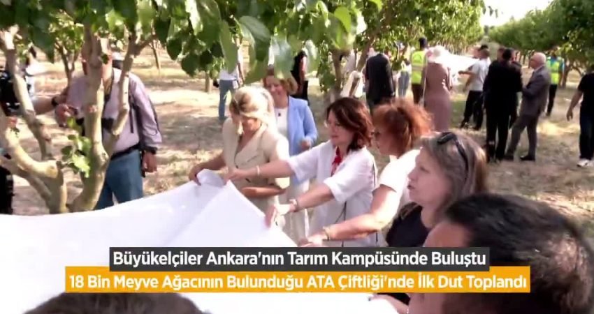 Ankara'da görev yapan büyükelçiler ve temsilcileri, 22 farklı türden 18