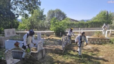 Antalya Büyükşehir Belediyesi Mezarlıklar Şube Müdürlüğü ekipleri, ilçelerde bulunan mezarlıklarda