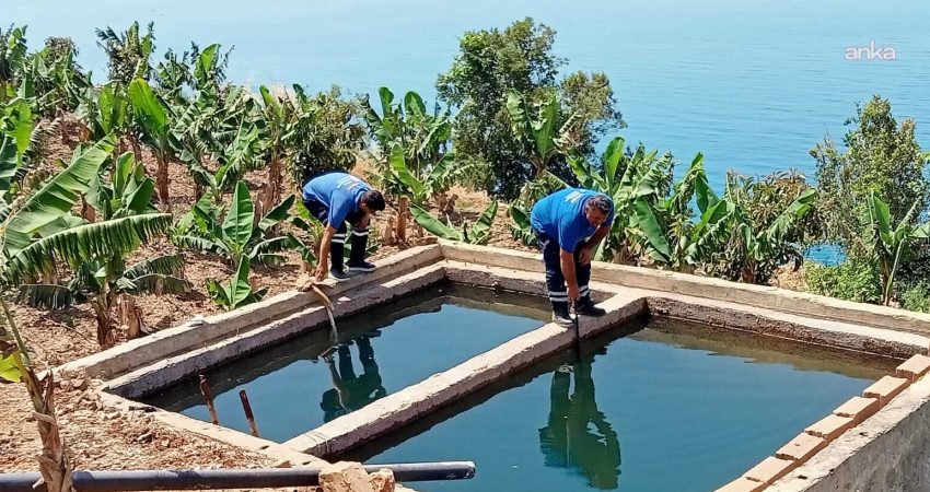 Antalya Büyükşehir Belediyesi Çevre Koruma ve Kontrol Dairesi Başkanlığı ekipleri,