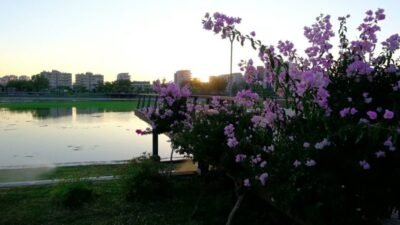 Antalya Büyükşehir Belediyesi Çevre Sağlığı Şube Müdürlüğü ekipleri, Boğaçayı ve
