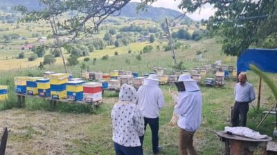 Artvin’in Şavşat ilçesinde arıcılık yapan üreticiler, dünya standartlarında kaliteye sahip
