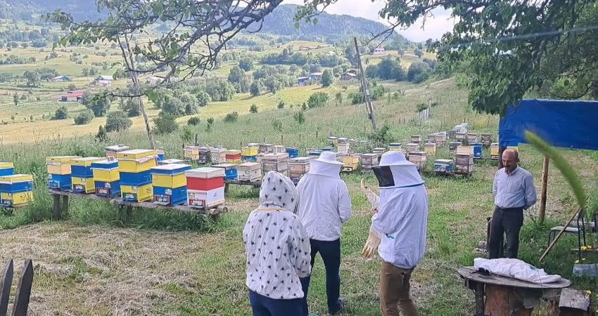 Artvin’in Şavşat ilçesinde arıcılık yapan üreticiler, dünya standartlarında kaliteye sahip