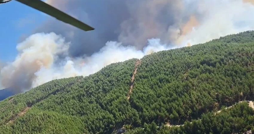 Aydın'ın Çine ilçesine bağlı Kavşit Mahallesi Madran Dağı bölgesinde çıkan