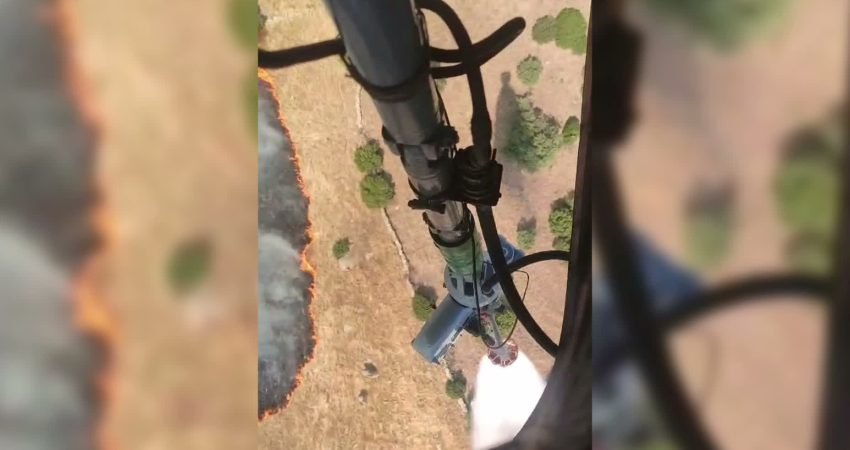 Aydın'ın Efeler ilçesi Savrandere Mahallesi'nde otluk ve makilik alanda çıkan