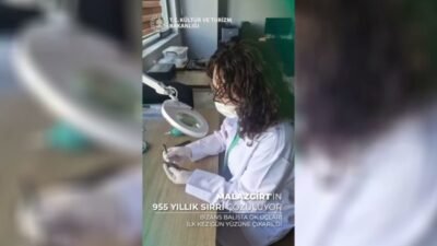 Kültür ve Turizm Bakanı Mehmet Nuri Ersoy, Malazgirt'te yürütülen çalışmalar