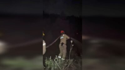 Tarım ve Orman Bakanı İbrahim Yumaklı, Türkiye genelinde devam eden