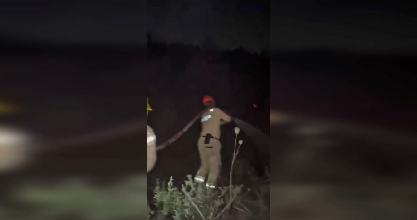 Tarım ve Orman Bakanı İbrahim Yumaklı, Türkiye genelinde devam eden