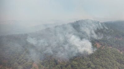 Balıkesir’in Gömeç ilçesinde dün öğle saatlerinde başlayan orman yangını, rüzgarın