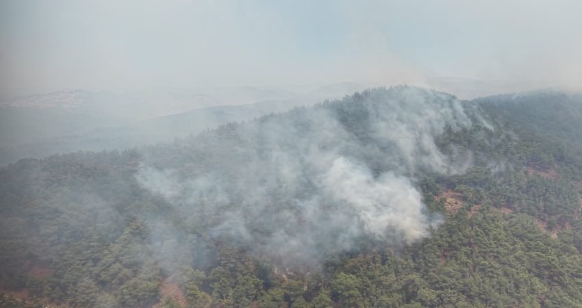 Balıkesir’in Gömeç ilçesinde dün öğle saatlerinde başlayan orman yangını, rüzgarın