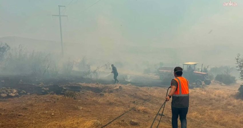  Balıkesir'in Sındırgı ilçesinde Gölcük ile Karakaya mahalleleri arasında çıkan orman