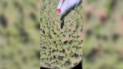 Balıkesir'in Susurluk ilçesine bağlı Yıldız Mahallesi'nde ormanlık alanda çıkan yangını