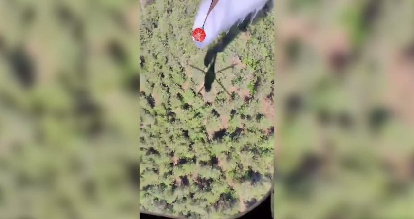 Balıkesir'in Susurluk ilçesine bağlı Yıldız Mahallesi'nde ormanlık alanda çıkan yangını