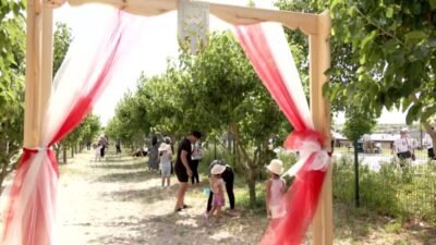 Ankara Büyükşehir Belediyesi tarafından ATA Çiftliği’nde düzenlenen Hasat Şenliği, Başkentlileri