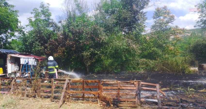 Bilecik'te bir bağ evinin bahçesinde çıkan yangında barakada baygın halde
