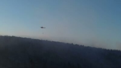 Bilecik'in Gölpazarı ilçesinde tarım arazisinde başlayan ve kısa sürede ormanlık