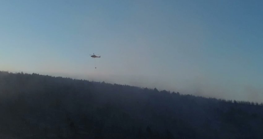 Bilecik'in Gölpazarı ilçesinde tarım arazisinde başlayan ve kısa sürede ormanlık