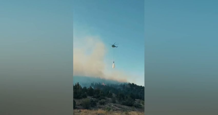 Bilecik'in Gölpazarı ilçesinde meydana gelen ve tarım arazisinden ormanlık alana