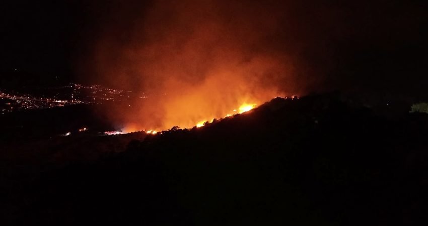 Bodrum'un Ortakent Mahallesi'nde gece saat 23.30 sıralarında makilik alanda başlayan
