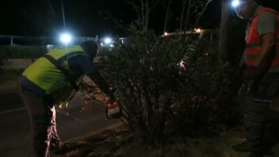 Bodrum Belediyesi Park ve Bahçeler Müdürlüğü ekipleri, orta refüjlerde planlanan budama,