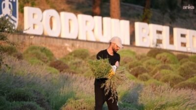 Bodrum Belediyesi tarafından gençleri tarım, üretim ve sürdürülebilir yaşamla buluşturmak