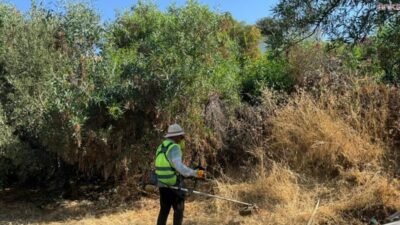 Bodrum Belediyesi Park ve Bahçeler Müdürlüğü ekiplerinin mayıs ayında başlattığı