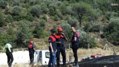 Bornova ilçesi Gökdere Mahallesi’nde çıkan orman yangınına İzmir İtfaiyesi ile