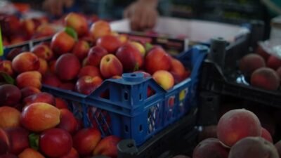 Burdur Belediye Başkanı Ali Orkun Ercengiz, Salı Pazarı'nı ziyaret ederek