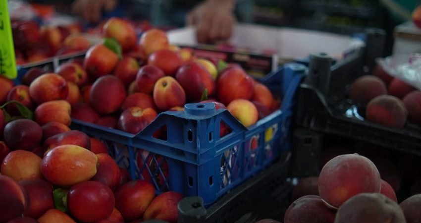 Burdur Belediye Başkanı Ali Orkun Ercengiz, Salı Pazarı'nı ziyaret ederek