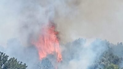 Balıkesir’in Burhaniye ilçesinde çıkan anız yangını, itfaiye ve Orman Genel