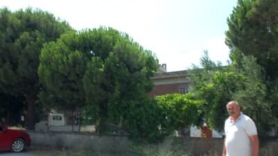 Balıkesir’in Burhaniye ilçesinde Murat Narin, işletmesinin çevresindeki ağaçların kesilmesine karşı