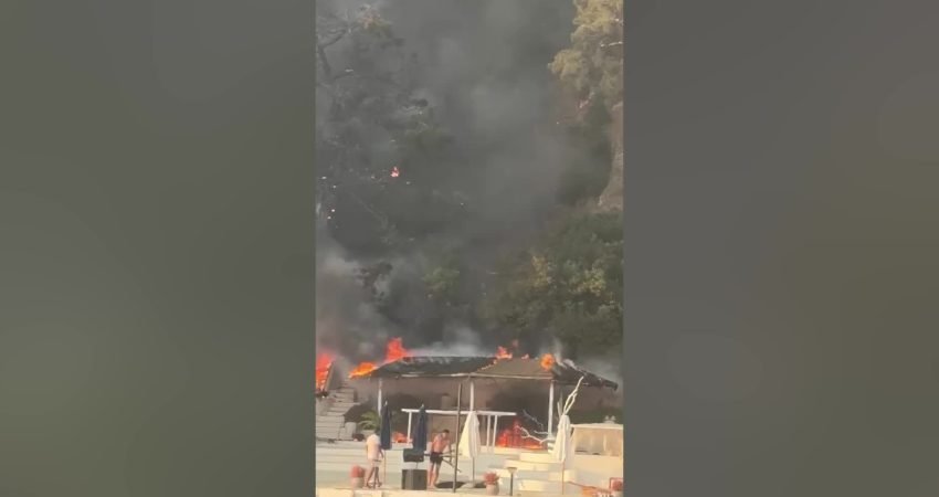 Büyükada Viranbağı Plajı restoran bölümünde başlayan yangın ormanlık alana sıçradı.