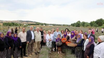 Tarım projeleriyle üretime destek veren Büyükçekmece Belediyesi’nin düzenlediği 8. Lavanta
