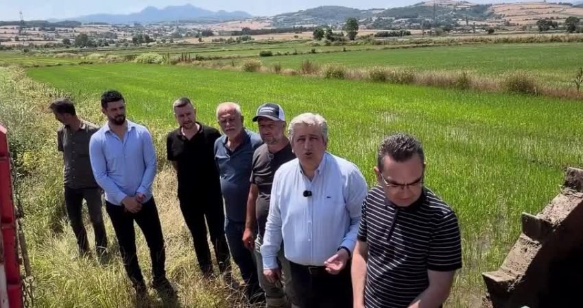 CHP Samsun Milletvekili Murat Çan, Bafra Ovası'nda üreticilerle bir araya