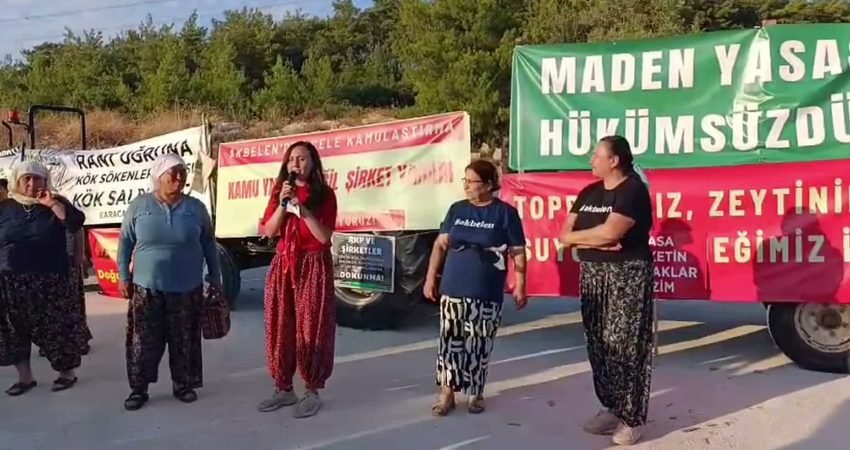 Muğla'nın Milas ilçesindeki Akbelen Ormanı'nda İkizköylülerin çağrısıyla bir araya gelen