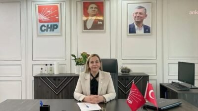 CHP Diyarbakır Kadın Kolları Başkanı avukat Güler Koçyiğit, partisinden istifa