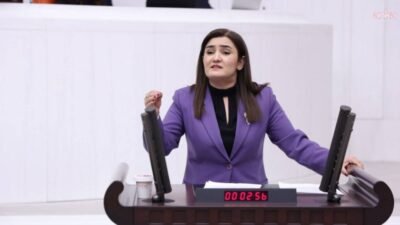 CHP İzmir Milletvekili Sevda Erdan Kılıç, AK Parti'nin verdiği yasa